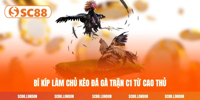 Bí kíp làm chủ kèo đá gà trận C1 từ cao thủ