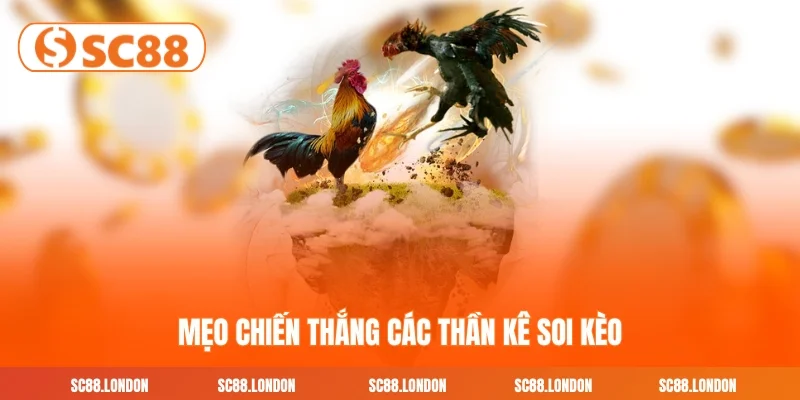 Mẹo chiến thắng các thần kê soi kèo