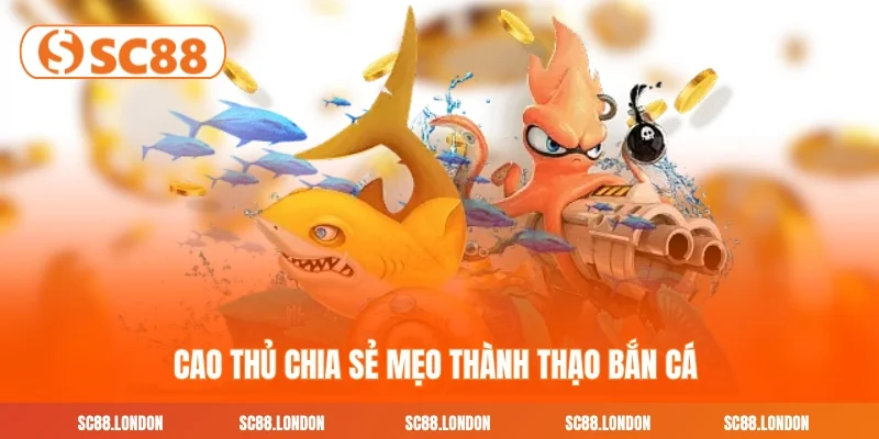 Cao thủ chia sẻ mẹo thành thạo bắn cá 