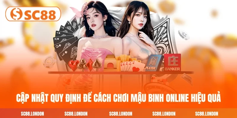 Cập nhật quy định tổ hợp bài để cách chơi Mậu Binh online hiệu quả