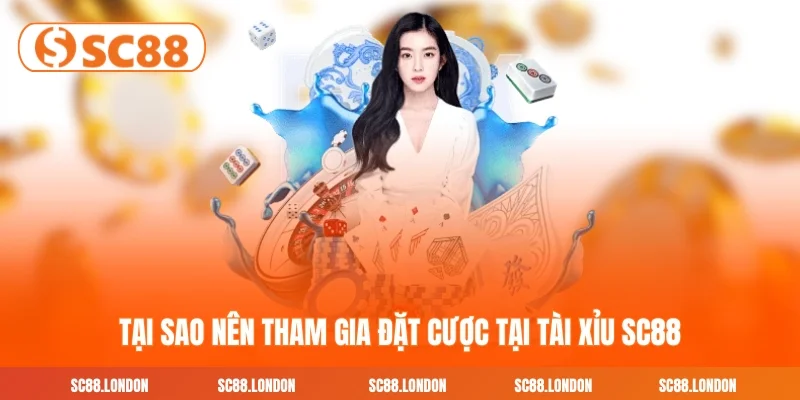 Tại sao nên tham gia đặt cược tại Tài xỉu SC88