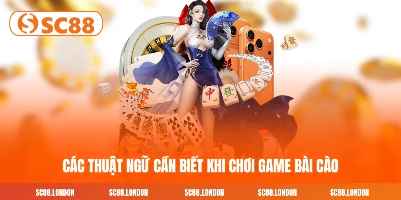 Các thuật ngữ cần biết khi chơi game bài Cào