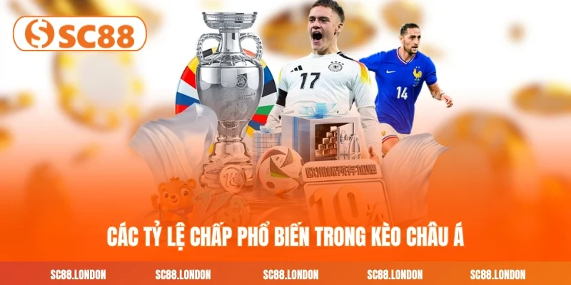 Các tỷ lệ chấp phổ biến trong kèo Châu Á